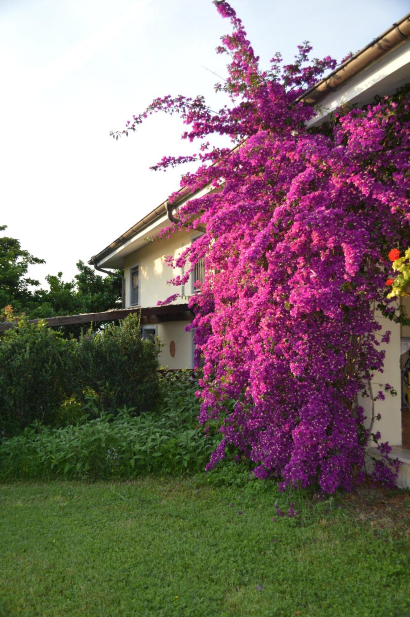 Villa Collebelvedere - Near Rome With Home Restaurant Fara in Sabina Exterior foto